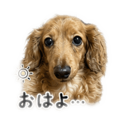 junhiro_20260702201109