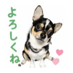 aya_20260702200516