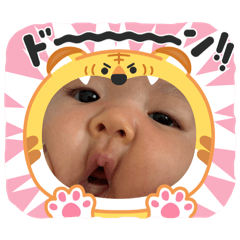 ema_20260702202036