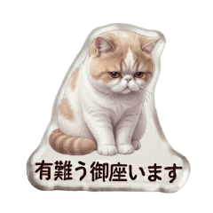 Bewithmeu_20260702204657