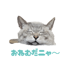 Mash&Muttan_20260702205245