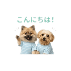 egg_20260702205434