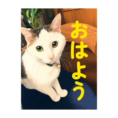 Shinshouse_20260702204841