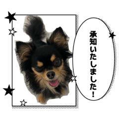 yu_a_20260702210036
