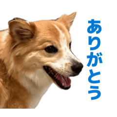 Yamasasuhimemu_20260702210626