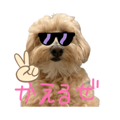mopooh_20260702210111