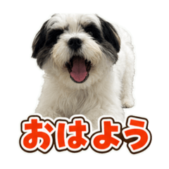 HANA_20260702210750