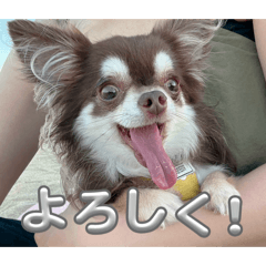Johnny_20260702210926