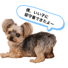 force_20260702212627