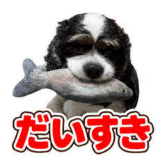 Risa_20260702213710