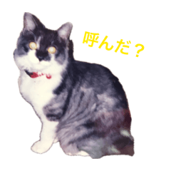 mfr31gt_20260702215407