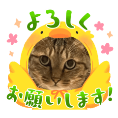 Nedoshi_20260702213522