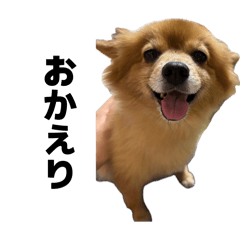 G.Y100000