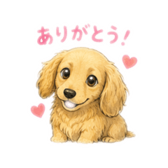 toshi_20260702215704