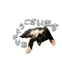 GOMAMIN_20260702220515