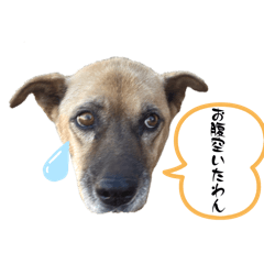 mayu_20260702220447