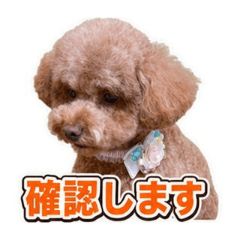azu_20260702220524