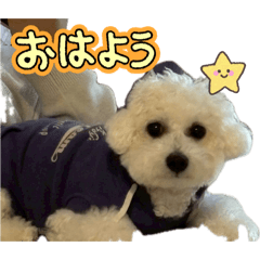 kenta250_20260702220939