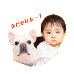 bunbull_20260702221106