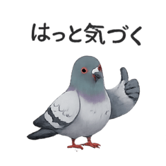 RINTO_20260702221114
