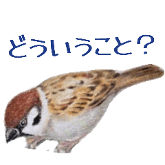 nami_20260702204805