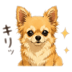syo_20260702221019
