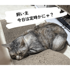 Eri._20260702222105