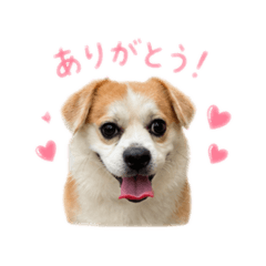 emi_20260702222035
