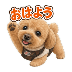 BRS_20260702222554