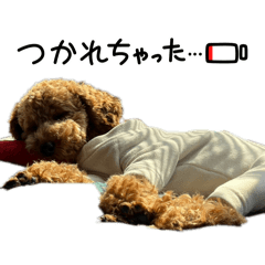 aoi_20260702223917