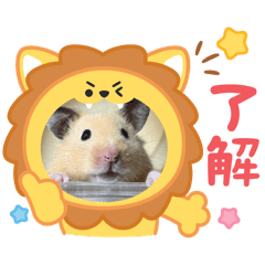 shiho_20260702231936