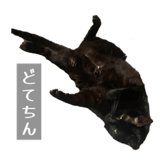 K_20260703010316