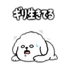 Ykk_20260703012804