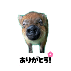 naru_20260703021805