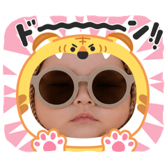 moe_20260703024503