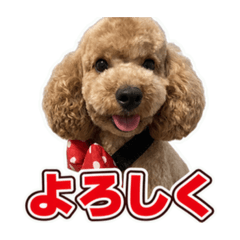 Kazuto_20260703044639
