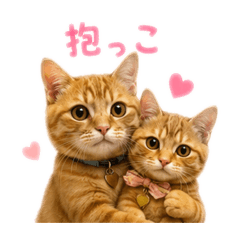 pipipi_20260703055229