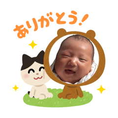 gocchi_20260703072605