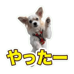 hiroshi_20260703073055