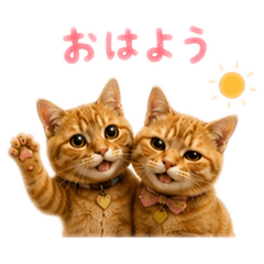 pipipi_20260703073317
