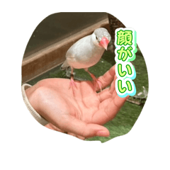 ETE_20260703074248