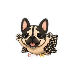 Pleco_20260703074609