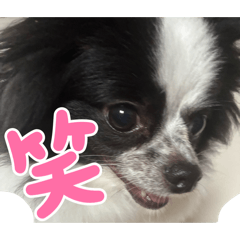 miyagiake_20260703081158