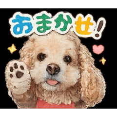 mei_20260629162046
