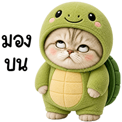 Chubby cute cat in Turtlet outfit