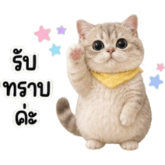 Yellow Scarf Cat : Roger That