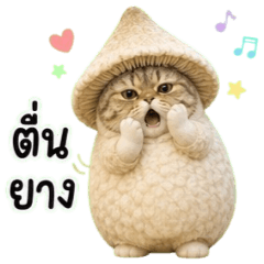 Oyster Mushroom Cat : Wake Uppp