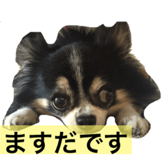 masuda pink