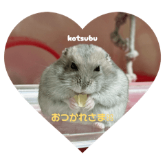 kuu_20260703162957