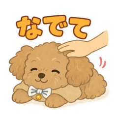 Noel_20260703164523